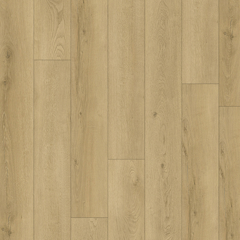Softstep Synq Grand Cru